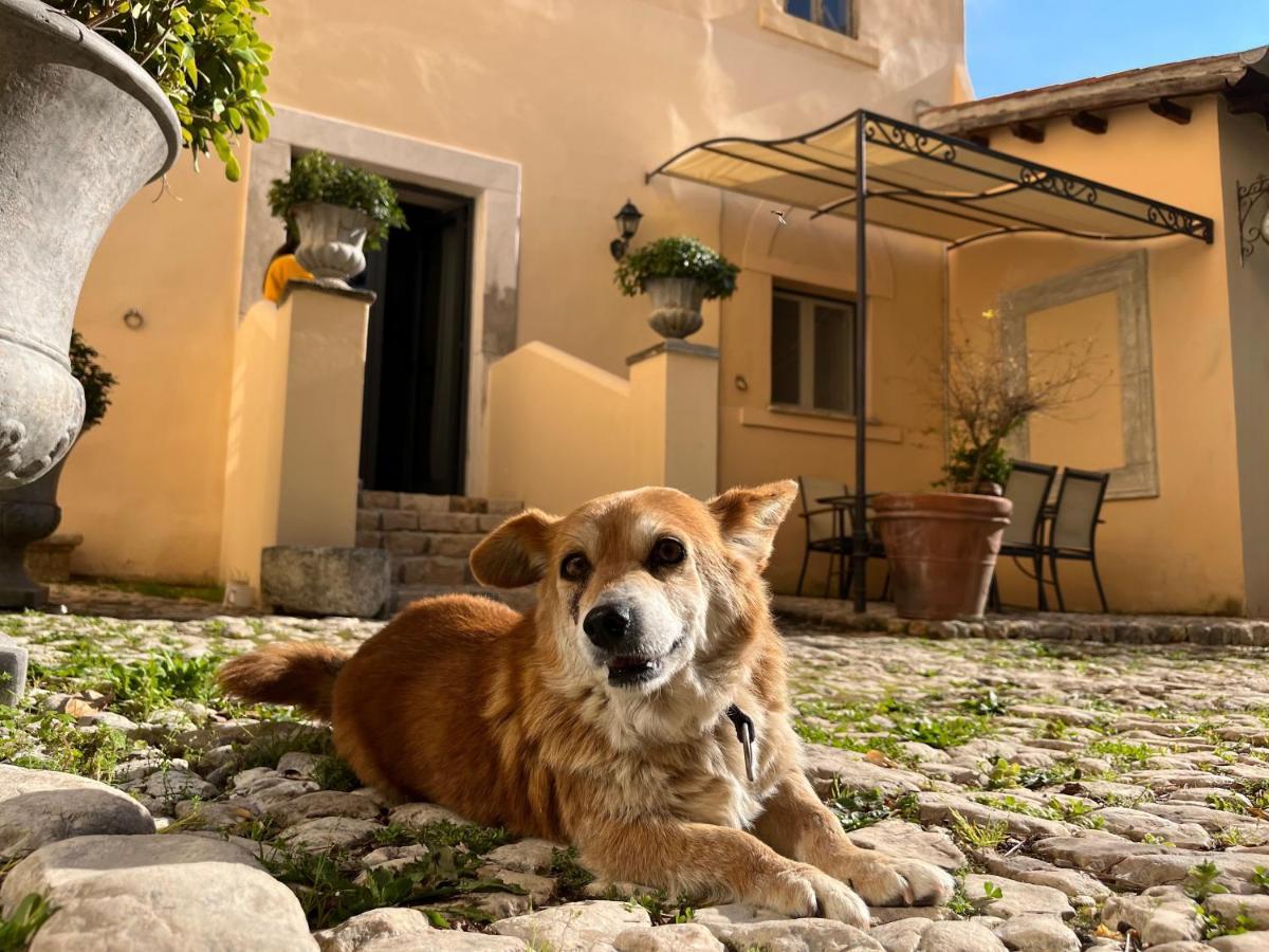 Agriturismo Castello Santa Margherita Cori Exterior foto